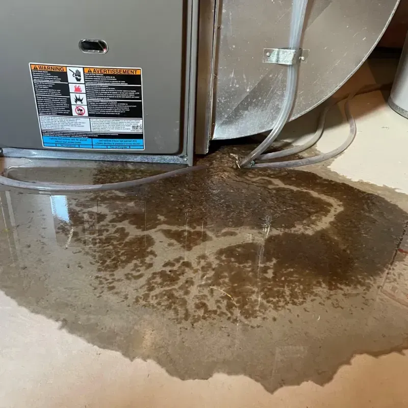 Appliance Leak Cleanup in Logan County, CO